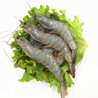 超大2KG海虾鲜活对虾海虾青虾活虾基围虾超大冻虾鲜活速冻2KG