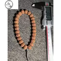 JiMi树王小金刚菩提手串单圈双龙核桃原籽文玩盘玩手串男佛珠手持手链