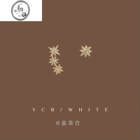 JiMi「璀璨星河」简约气质轻奢高级感六芒星耳钉银针小众设计耳环耳饰