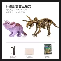 儿童仿真恐龙玩具塑胶化石模型套装动物考古霸王龙挖掘三角龙男孩 三角龙化石+三角龙模型