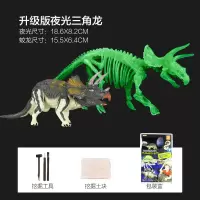 儿童仿真恐龙玩具塑胶化石模型套装动物考古霸王龙挖掘三角龙男孩 三角龙化石+三角龙模型[荧光版]