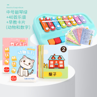 八音手敲琴宝宝二合一木琴乐器8个月婴幼儿童音乐玩具钢琴 敲琴中号绿+40首乐谱+48张早教卡片