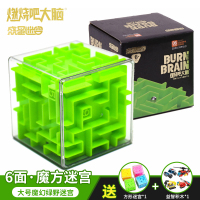 大脑3D立体魔幻迷宫玩具走珠儿童智力开发多面体智力球男女孩 SX-MG015[六面体]3D魔幻绿野迷宫(送小迷宫+积木)