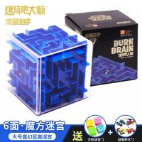 大脑3D立体魔幻迷宫玩具走珠儿童智力开发多面体智力球男女孩 SX-MG016[六面体]3D魔幻蓝魔迷宫(送小迷宫+积木)