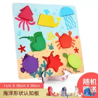 宝宝形状数字认知手抓板字母拼图儿童早教玩具木质积木女男孩 海洋形状认知板