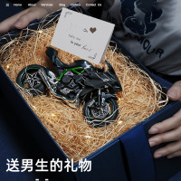 川崎H2r摩托车模型玩具仿真合金机车七夕情人节生日礼物手办摆件英族拾光