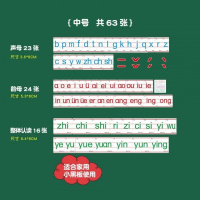 网红抖音同款磁性汉语拼音卡片教学拼读认知卡带声母韵母声调全套教具磁贴