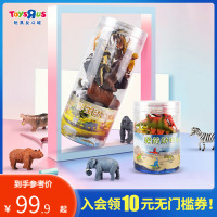 玩具反斗城静态野生动物海洋动物仿真模型套装儿童玩具12214