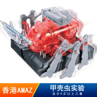 香港stem小学生科学实验科技小制作儿童diy益智玩具电动甲壳虫