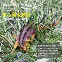 仿真实心恐龙静态动物模型玩具 钉状龙三角龙美甲龙窃蛋龙始祖鸟