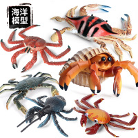 儿童仿真海底生物海洋动物贝壳螃蟹模型玩具寄居蟹 寄居虾绿鳍鱼