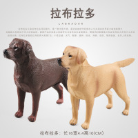 仿真狗狗宠动物模型玩具拉布拉多导盲犬巴吉度犬儿童认知早教摆件
