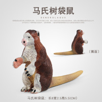 仿真科教实心野生动物模型玩具马氏树袋鼠袋鼠松鼠考拉桌面摆件