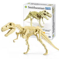 STEAM科学实验玩具恐龙化石组装模型义乌小商品批发摆地摊教具