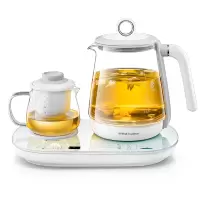 荣事达养生壶家用多功能烧水花茶壶办公室玻璃小型全自动煮茶器