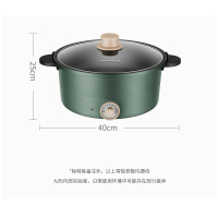 九阳(Joyoung)电火锅多功能家用3升L电热锅电炖锅HG30-GD91 复古绿