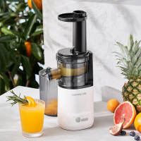 九阳原汁机小型便携渣汁分离迷你榨汁机家用多功能全自动炸LZ198 白色