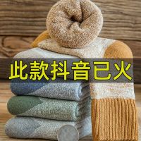 5双装冬季加厚保暖毛圈袜秋冬季厚款儿童袜子男女童中筒袜1-15岁