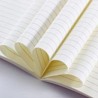 三年二班 小清新笔记本文具厚本子B5线装记事本16K学生车线本批发 A5青春进行时30张60页 2本随机