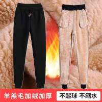 秋冬加绒加厚羊羔绒运动女裤子大码外穿宽松卫裤显瘦休闲裤长裤
