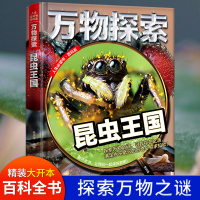 精装正版万物探索昆虫王国 儿童版昆虫百科全书青少年十万个为什么6-9-12岁小学生课外阅读书探索发现科学大百科科普知