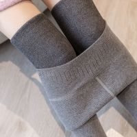 仿羊绒螺纹加绒加厚打底裤女外穿2020秋冬一体高腰大码保暖棉裤女