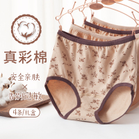 中老年人妈妈高腰彩棉抗菌三角内裤女宽松大码夏纯棉老人内穿短裤
