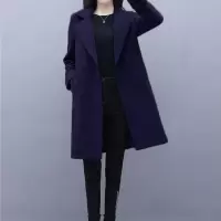 春秋女式毛呢外套加厚韩版小个子chic呢子大衣