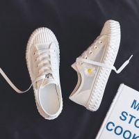 夏季透气小雏菊帆布鞋女2020年新款春夏百搭网鞋饼干网面小白鞋子