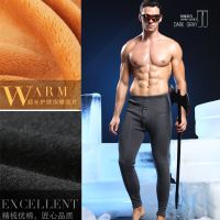 男士保暖裤加厚加绒裤秋裤棉裤线裤秋冬季单件紧身打底裤衬裤内裤