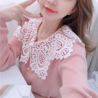 毛针织衫女春季新款韩版蕾丝花边领短款修身长袖内外搭套头衫毛衣