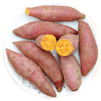 新鲜采挖临安小香薯5斤装农家板栗红薯小番薯地瓜山芋新鲜蔬菜