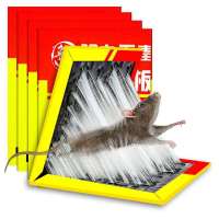 粘鼠板强力老鼠贴家用灭鼠板老鼠笼药驱鼠器老鼠夹沾胶捕老鼠神器 10张送2张