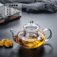 玻璃茶壶耐高温家用过滤加厚花茶壶小号单壶水壶蒸煮冲茶器泡茶具