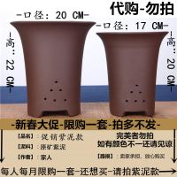 自产自销宜兴精品紫砂盆大口径兰花盆多肉花盆君子兰盆栽陶瓷花盆