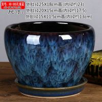 花盆陶瓷 花卉花盆特价清仓多肉花盆大号创意君子兰花盆吊兰 花盆