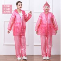 雨衣雨裤套装分体防水男女双帽檐防暴雨摩托车电动车成人分体雨衣