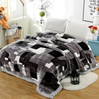 厂家直销拉舍尔毛毯双层加厚冬季单双人学生盖毯被婚庆10斤厚毯子