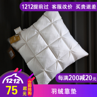床头羽绒靠背客厅沙发靠枕芯95%白鹅绒办公室大靠垫卧室大抱枕