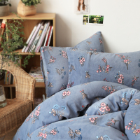 小米馍馍 | 小红莓 | 韩式淡雅加厚牛奶绒单件床单床笠枕套被套