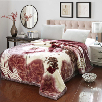 致臻水星家纺拉舍尔毛毯被子加厚冬季保暖双层珊瑚绒毯单双人学生