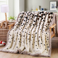 拉舍尔毛毯双层加厚冬季盖毯学生儿童单人双人被子珊瑚绒毯子