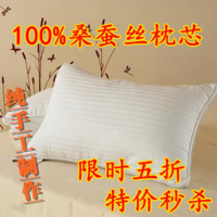 特价蚕丝枕头单人双人枕定做100桑蚕丝正品枕头颈椎保健枕芯