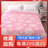 外贸出口特价法兰绒毯子冬季加厚保暖绗缝夹棉毛毯双人空调毯床单