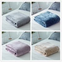 出口美国冬季法兰绒床单毛毯被子单人双人珊瑚绒毯子加厚加绒床单
