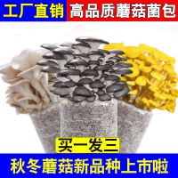 [买1包发3包]蘑菇菌包菌种食用菌棒多肉植物花卉平菇蔬菜种子