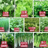 10种蔬菜种子套餐四季菜种子室内阳台绿植盆栽庭院秋冬季蔬菜种子