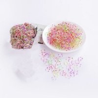 一次性橡皮筋儿童头饰发圈发饰女孩宝宝扎头发盘发小皮筋发绳黑色 [袋装]透明小圈 1600根