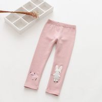 女童打底裤2019新品春秋冬装中小童新款宝宝儿童幼童保暖裤子外穿 粉红色 春秋款单裤 110cm