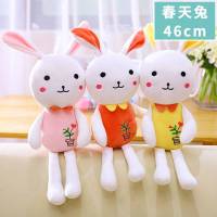 可爱兔子毛绒玩具抱枕公仔玩偶生日礼物送女生布娃娃儿童玩具女孩 春天兔-随机发货 46厘米